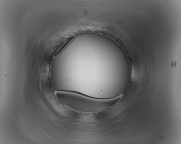 X0000112511492200908241407