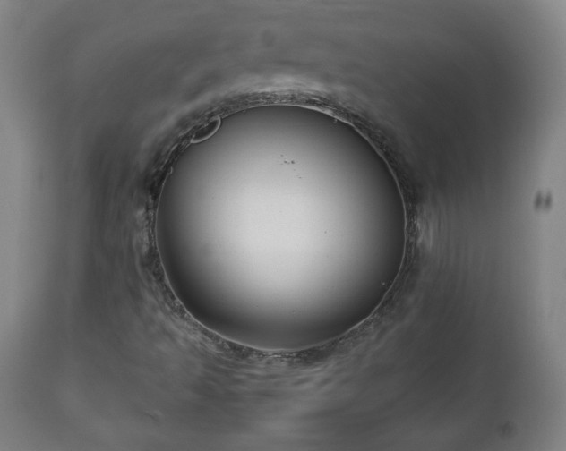 X0000112511493200908241407