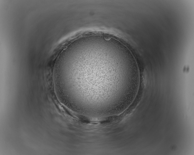 X0000112511494200908241407