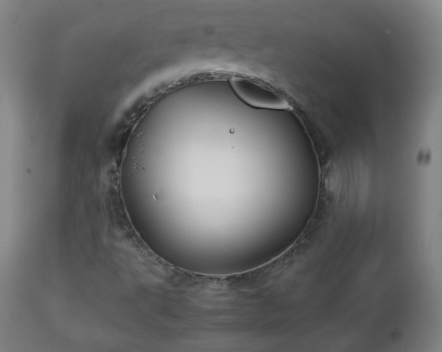 X0000112511495200908241407