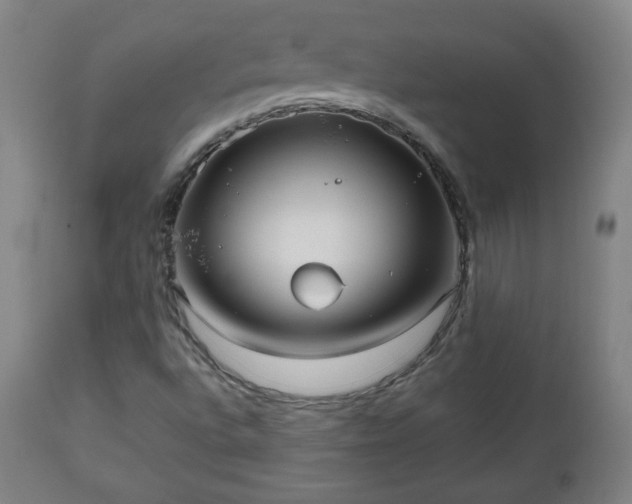 X0000112511496200908241407