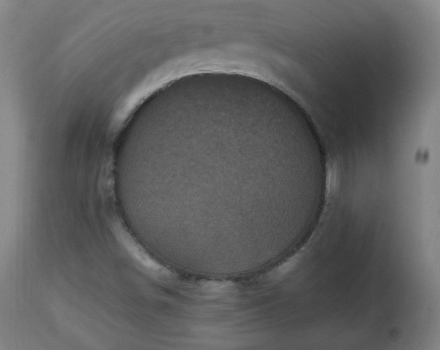 X0000112511498200908241407