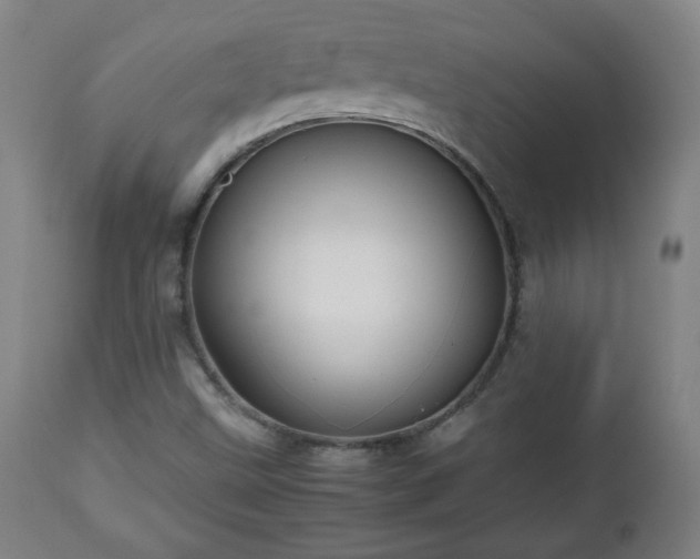 X0000112511499200908241407