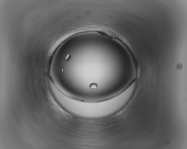 X0000112511500200908241407