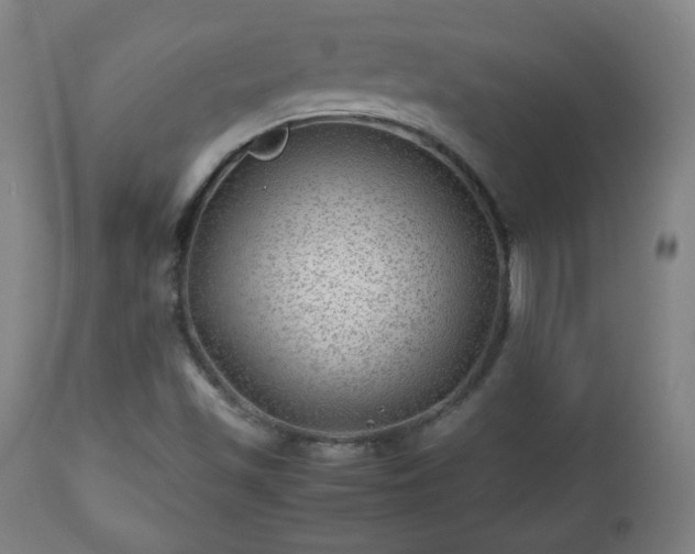 X0000112511501200908241407