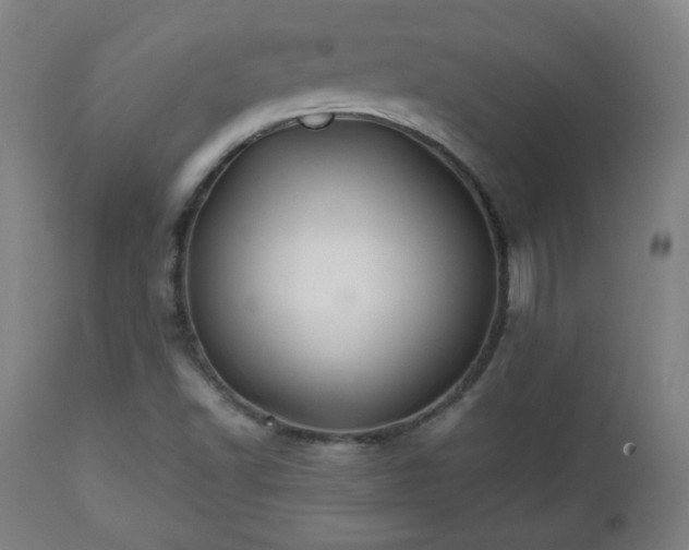 X0000112511502200908241407