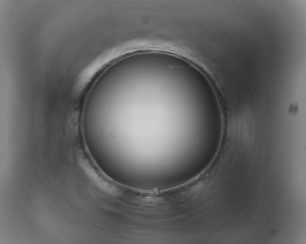 X0000112511503200908241407