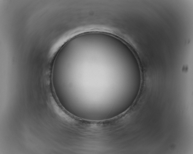 X0000112511504200908241407