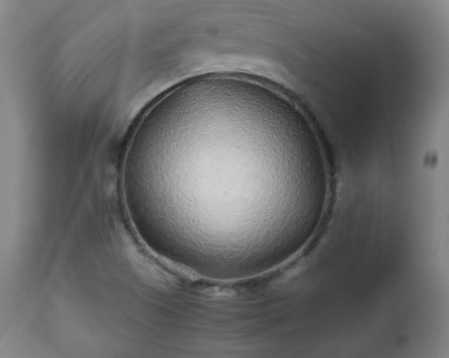 X0000112511505200908241407