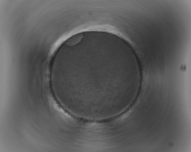 X0000112511506200908241407