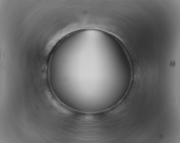 X0000112511507200908241407