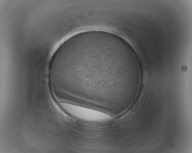 X0000112511508200908241407