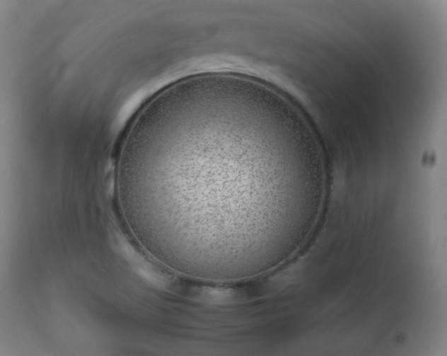 X0000112511509200908241407