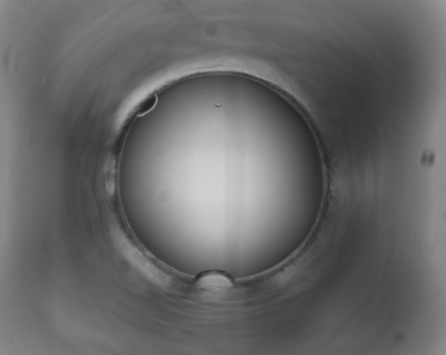 X0000112511510200908241407