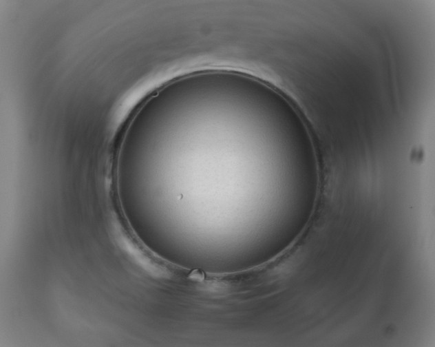 X0000112511511200908241407