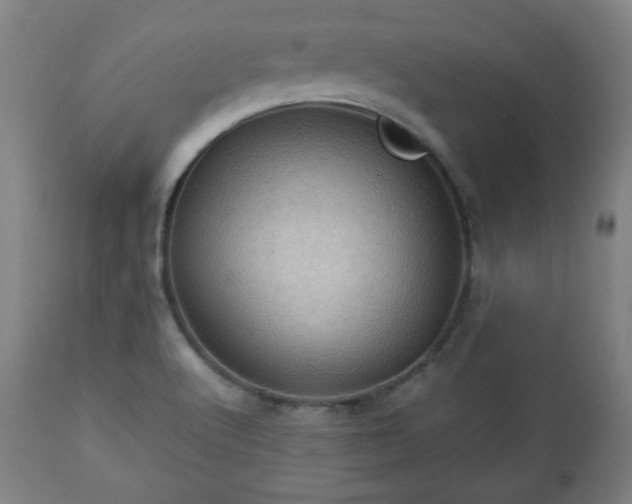 X0000112511512200908241407