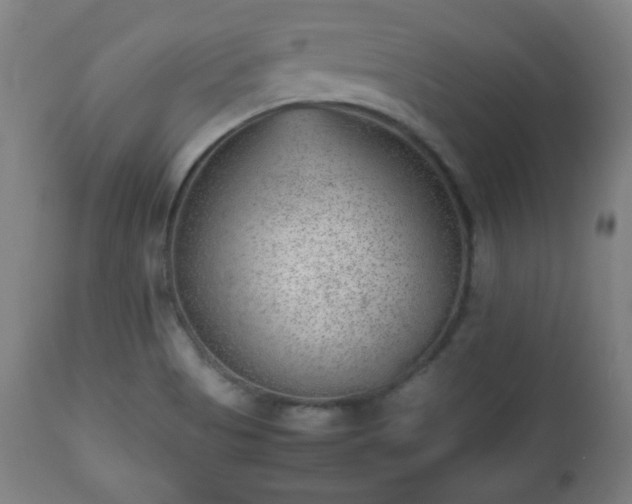 X0000112511513200908241407