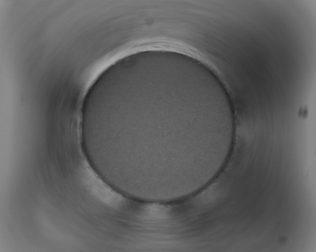 X0000112511514200908241407