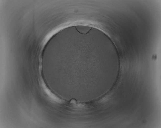 X0000112511515200908241407