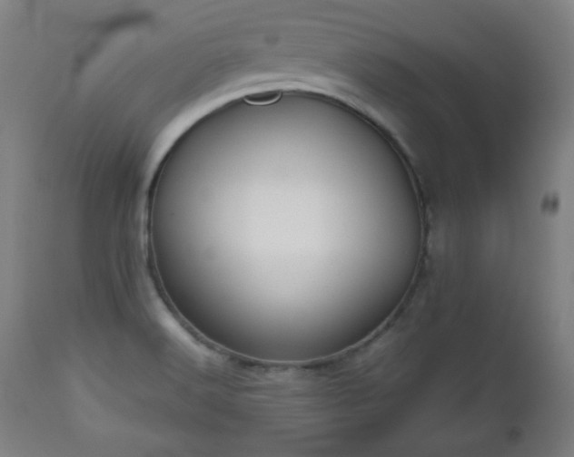 X0000112511516200908241407