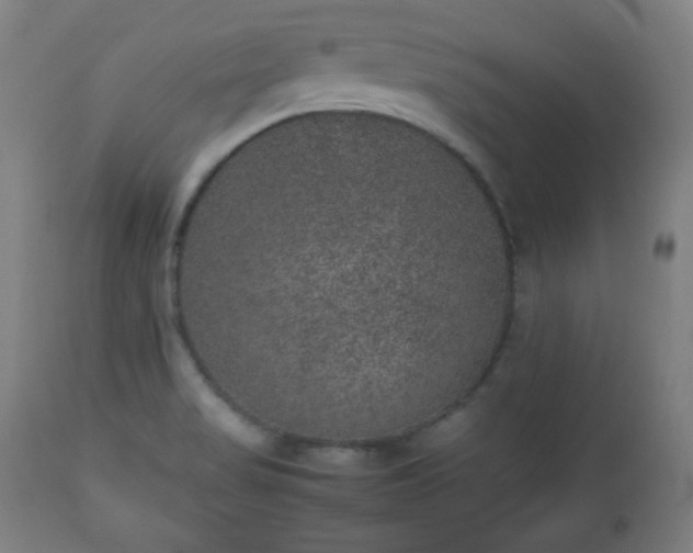 X0000112511517200908241407