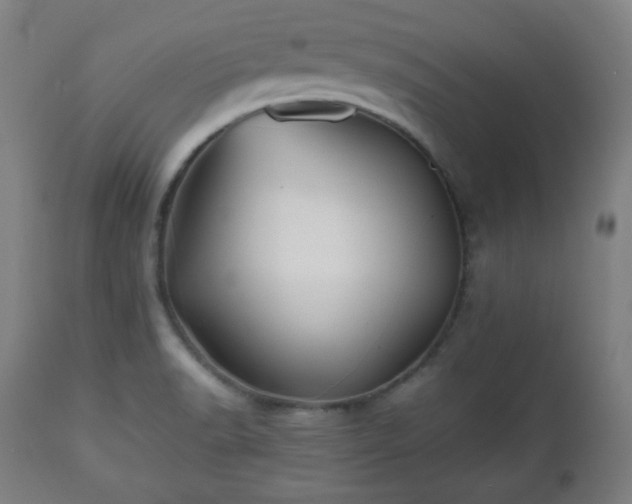 X0000112511518200908241407