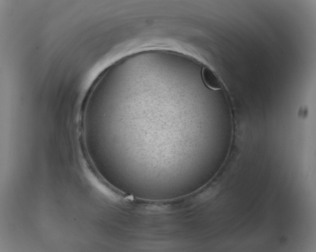 X0000112511519200908241407