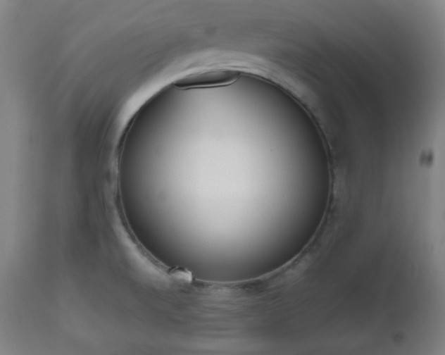 X0000112511520200908241407