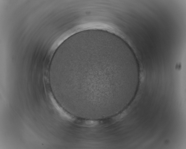 X0000112511521200908241407