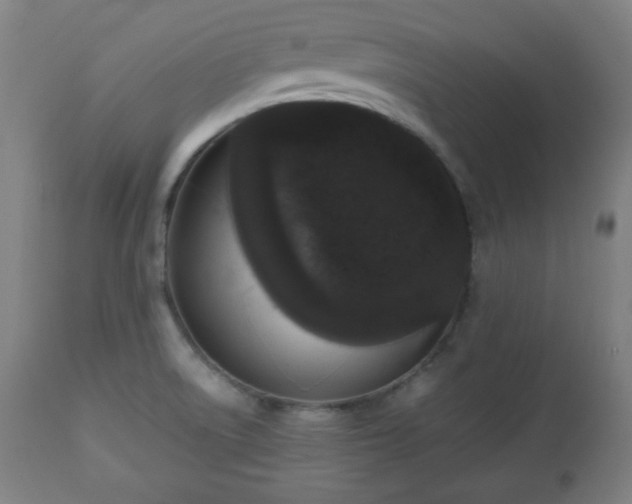 X0000112511522200908241407