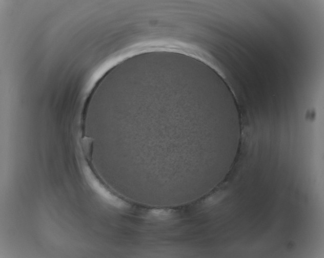 X0000112511523200908241407