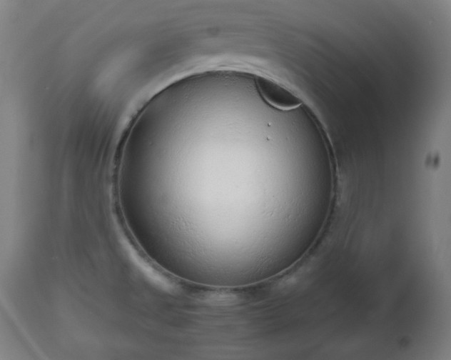 X0000112511525200908241407