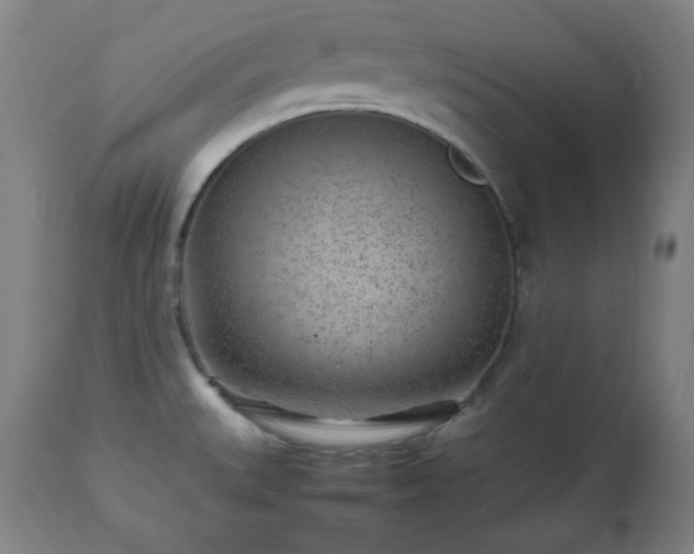 X0000112511527200908241407