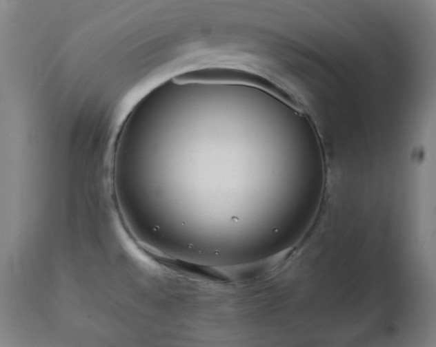 X0000112511528200908241407