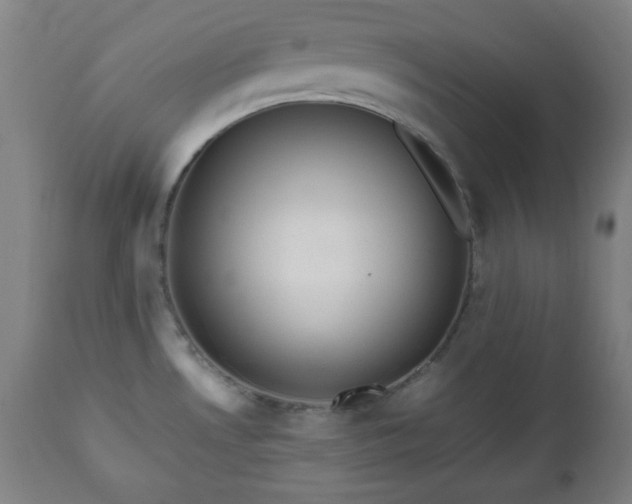 X0000112511530200908241408