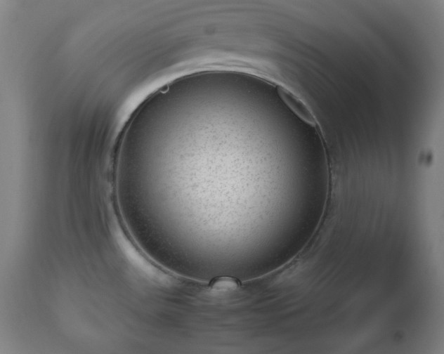 X0000112511531200908241408