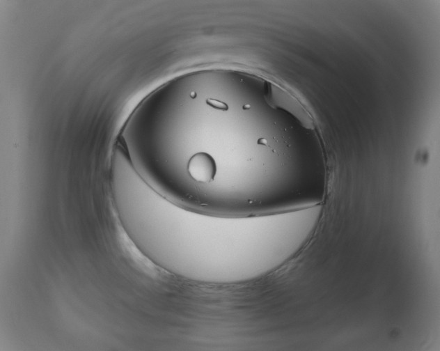 X0000112511532200908241408