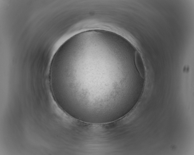 X0000112511536200908241408