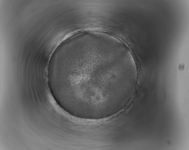 X0000112510002200908311344