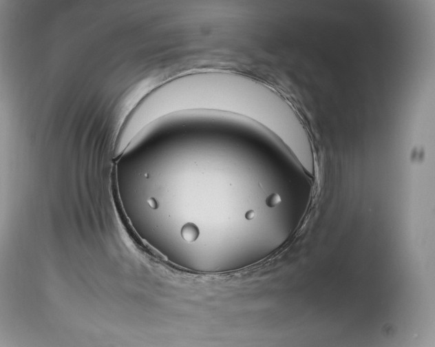 X0000112510003200908311344