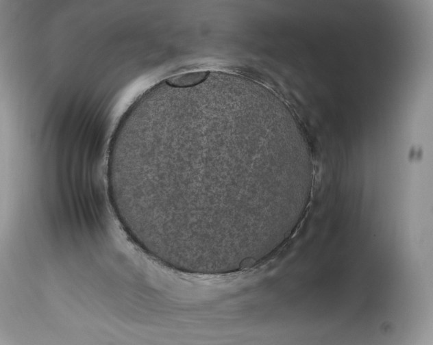 X0000112510006200908311344