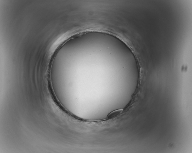 X0000112510007200908311344