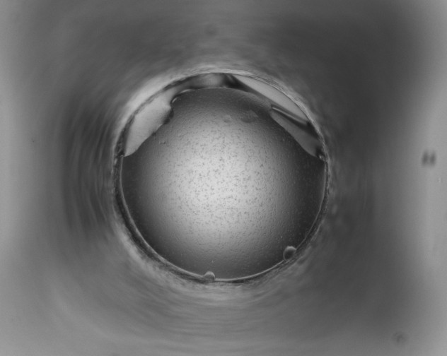 X0000112510008200908311344