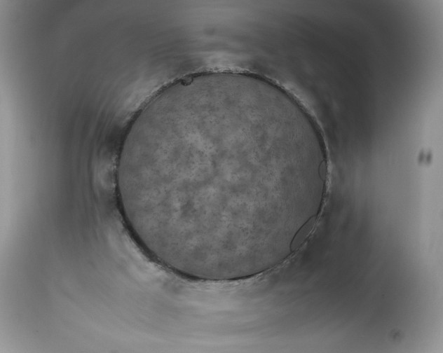 X0000112510009200908311344