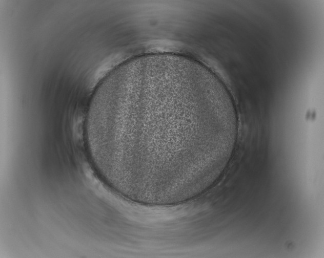 X0000112510010200908311344