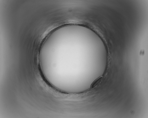 X0000112510011200908311344