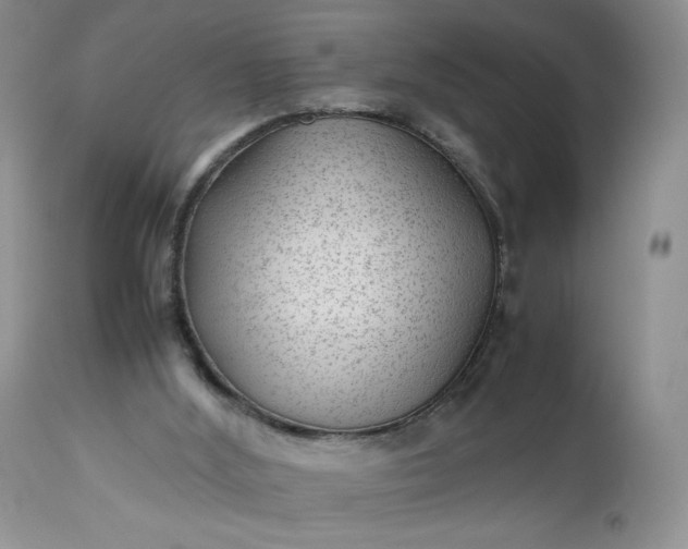 X0000112510012200908311344