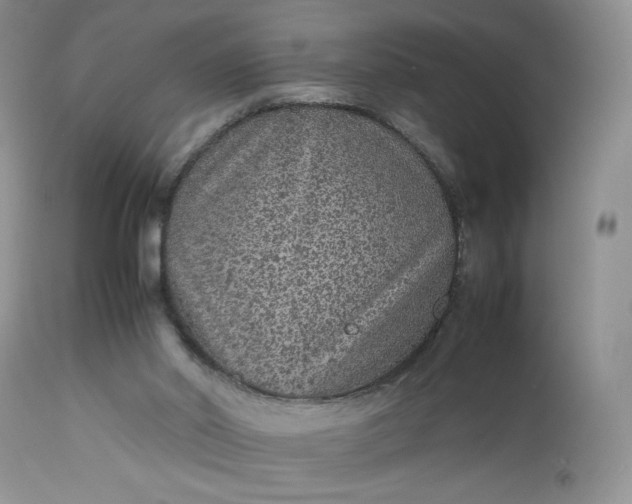 X0000112510014200908311344