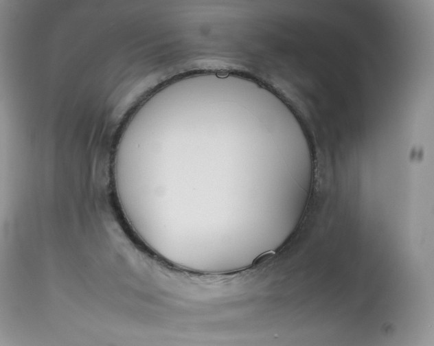 X0000112510015200908311344