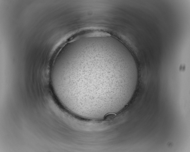 X0000112510016200908311344